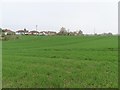 Houses on Papist way