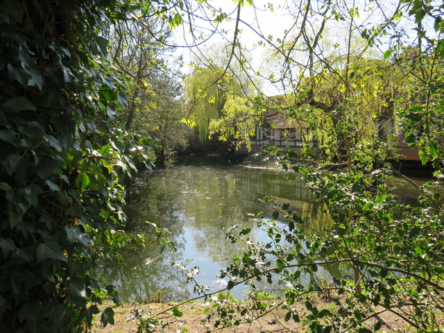 The Pond at Langshott Manor