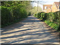 Landshott Wood