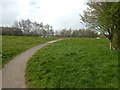 Green space in Marsh Barton industrial estate