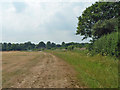 Footpath towards Old Shire Lane and Newland Park