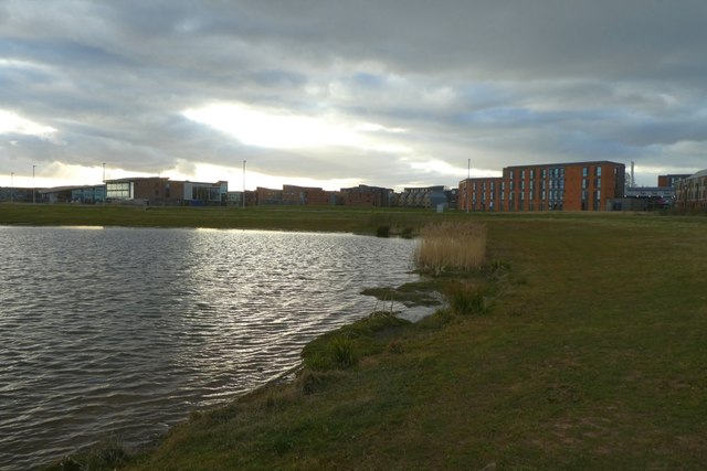 Shoreline of the lake