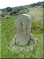 SX7678 : Old Boundary Marker by D Garside