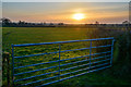 Clayhidon : Grassy Field & Gate