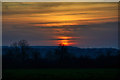 Dunkeswell : Grassy Field