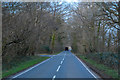 Dunkeswell : Country Road