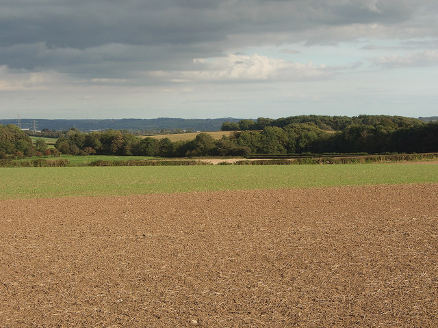 Countryside by Redhill Roundabout