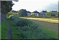 Fife Coastal Path towards the A955 at East Wemyss