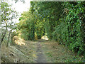 TQ0390 : Shire Lane approaches Tilehouse Lane by Robin Webster