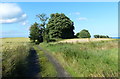 Fife Coastal Path towards Buckhaven