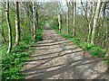 Track from Glasshouse Lane to Rocky Lane