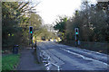 Pedestrian crossing on Harpenden Road