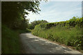 Lane from Wistford Cross