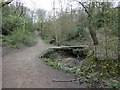 Footbridge over Gower Hey Brook