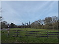 Field between Stoatley Rise and Bunch Lane