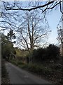 Approaching a wall in Stoatley Hollow