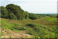 Venn Brook valley