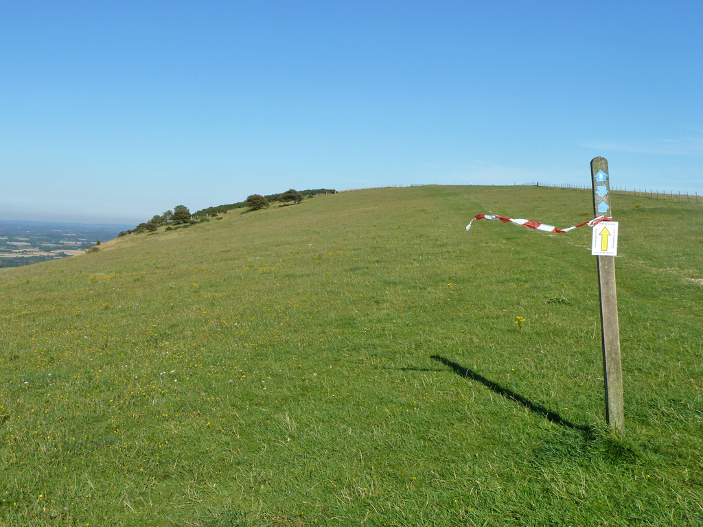 South Downs Way up Firle Beacon © Robin Webster cc-by-sa/2.0 ...