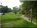 Bridleway to "The Old Fort" at Box Hill