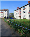 Davy Road: flats, bins and tulips