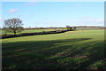 Farmland north of St Albans