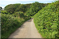 Lane to Stoke Rivers