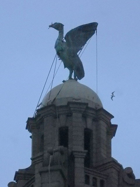 Liver Bird, Royal Liver Building, Liverpool