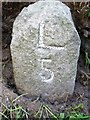 Old Milestone by the A395, Pipers Pool