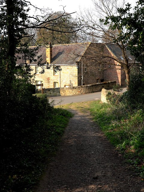 Lane north of Close House