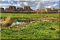 Houses looking in to Tattenhoe Valley Park