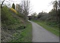 Trans Pennine Trail with cat