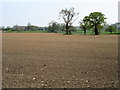 Ploughed field SW of Eastwick Lane