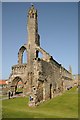 NO5116 : Ruins of St Andrews Cathedral by Philip Halling