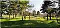 Footpath across Abbeydale Golf Course