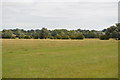 Floodplain of the Stour