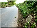 Old Milestone by the A390