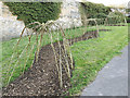 Willow tunnel awaiting leaves, Gott