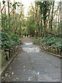 Stone steps, Armley Park