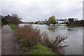 Thames path towards Laleham