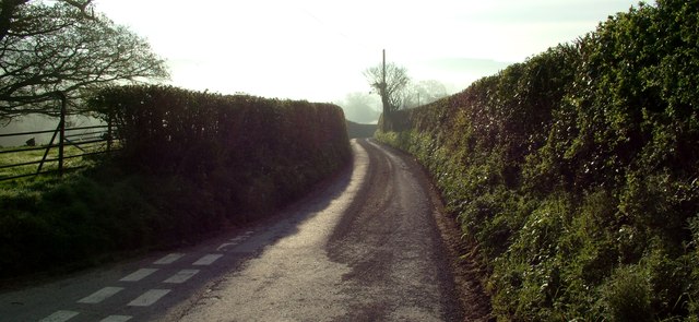 Country lane junction near Burrington