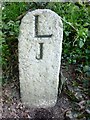 Old Milestone by the B3254, north of Launceston