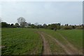 Field beside the river