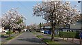 Loxley Road in Glenfield, Leicester