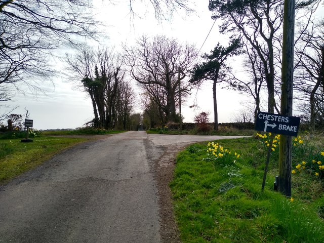 Crossroads in farmland