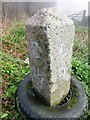 SX3572 : Old Milestone by the A388, north west of Kelly Bray by Rosy Hanns
