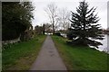 Thames Path towards Laleham