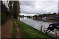 Thames Path towards Laleham