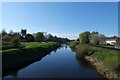 SE4843 : River Wharfe in Tadcaster by DS Pugh