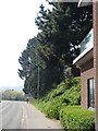 Cycle path alongside Western Way, Exeter