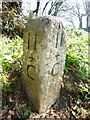 SX3672 : Old Milestone north of Higher Crockett by Rosy Hanns